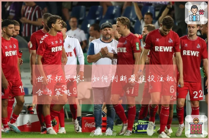 世界杯买球：如何判断最佳投注机会与策略