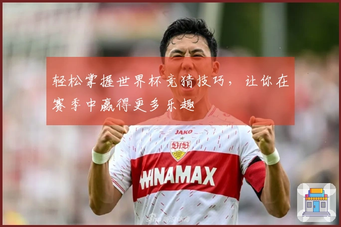 轻松掌握世界杯竞猜技巧，让你在赛季中赢得更多乐趣