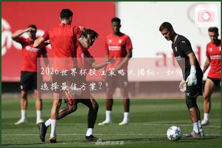 2026世界杯投注策略大揭秘，如何选择最佳方案？