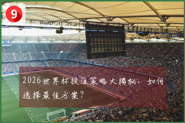 2026世界杯投注策略大揭秘，如何选择最佳方案？